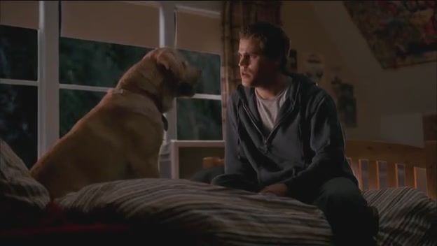 VampireDiariesWorld-dot-org-FallenPart1-1541.jpg VampireDiariesWorld-dot-org-FallenPart1-1541.jpg