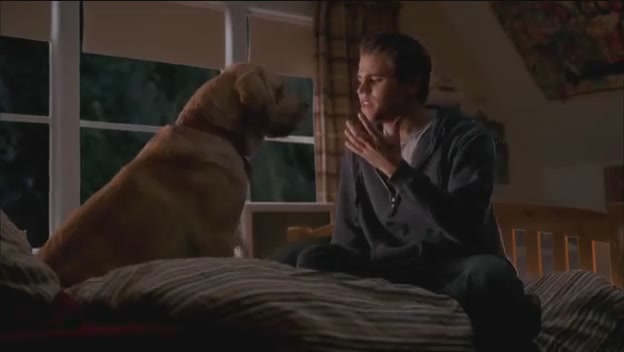 VampireDiariesWorld-dot-org-FallenPart1-1544.jpg