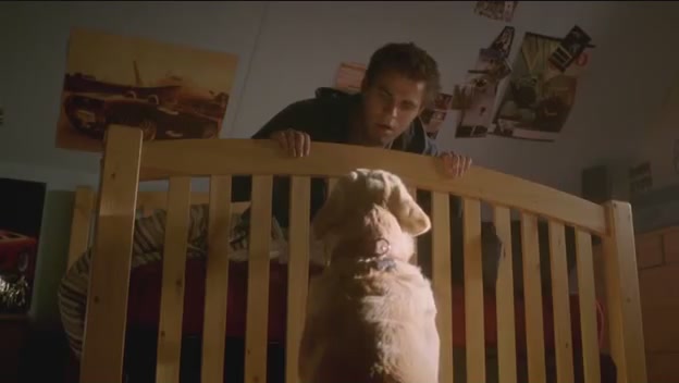 VampireDiariesWorld-dot-org-FallenPart1-1644.jpg VampireDiariesWorld-dot-org-FallenPart1-1644.jpg