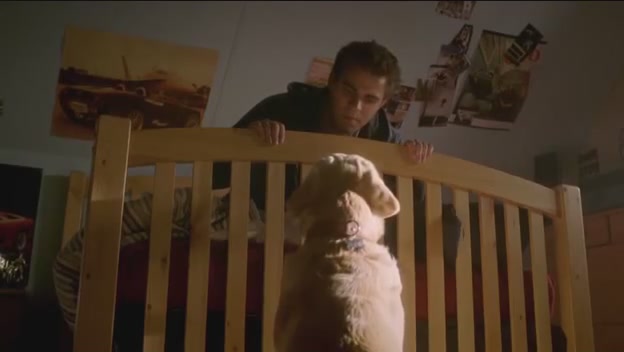 VampireDiariesWorld-dot-org-FallenPart1-1645.jpg VampireDiariesWorld-dot-org-FallenPart1-1645.jpg