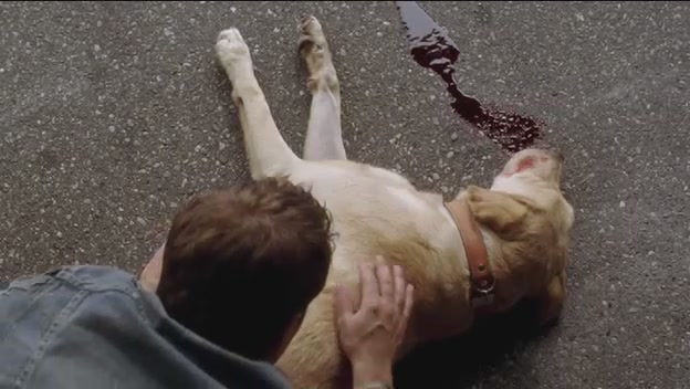 VampireDiariesWorld-dot-org-FallenPart1-2621.jpg