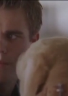 VampireDiariesWorld-dot-org-FallenPart1-3411.jpg