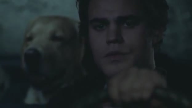 VampireDiariesWorld-dot-org-FallenPart2-4485.jpg