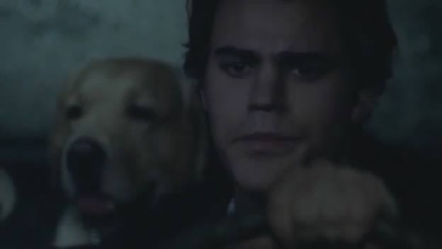 VampireDiariesWorld-dot-org-FallenPart2-4517.jpg
