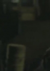 VampireDiariesWorld-dot-org-FallenPart2-2799.jpg
