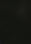 VampireDiariesWorld-dot-org-FallenPart2-4815.jpg