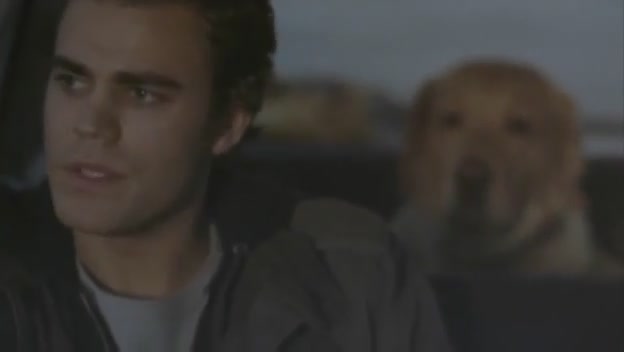 VampireDiariesWorld-dot-org-FallenPart3-0391.jpg