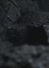 VampireDiariesWorld-dot-org-FallenPart3-2008.jpg
