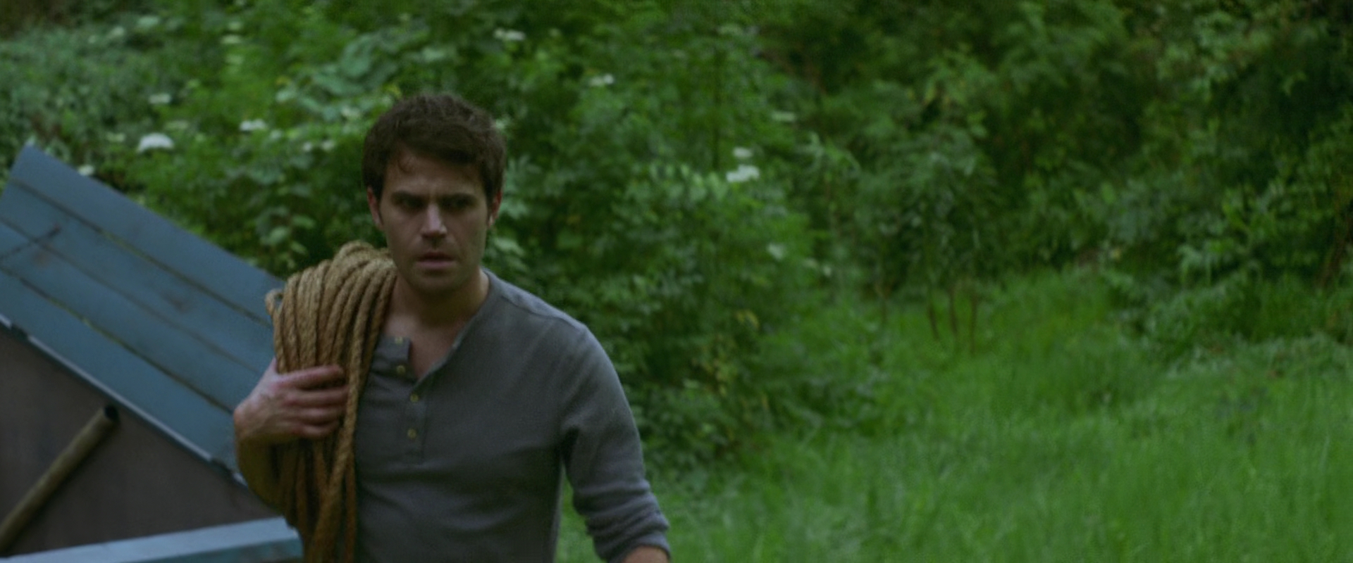 VampireDiariesWorld-HistoryOfEvil4617.jpg VampireDiariesWorld-HistoryOfEvil4617.jpg