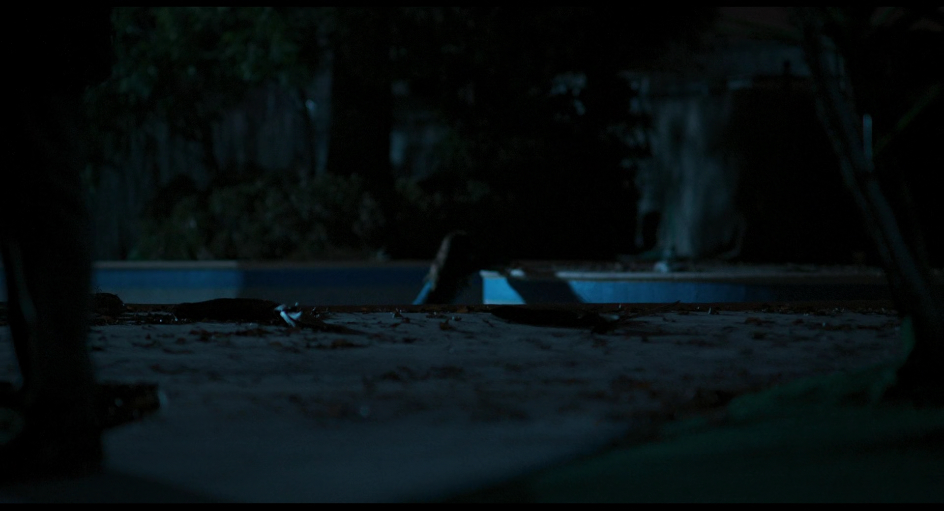 VampireDiariesWorld-Nightshifst4466.jpg