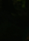 VampireDiariesWorld-dot-nl_TakeDown2360.jpg