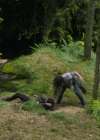 VampireDiariesWorld-dot-nl_TakeDown4867.jpg