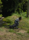 VampireDiariesWorld-dot-nl_TakeDown4870.jpg