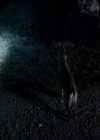 VampireDiariesWorld-dot-org_TomorrowWhenTheWarBegan-2656.jpg