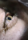 Filename=vampirediariesworld-dot-nl_Transfusion1815.jpg
Filesize=252KiB
Dimensions=1280x534
Date added=Feb 12, 2023 vampirediariesworld-dot-nl_Transfusion1815.jpg