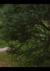 Filename=VampireDiariesWorld-dot-nl_Bloom2x04-2339.jpg
Filesize=427KiB
Dimensions=1280x720
Date added=Apr 14, 2020 VampireDiariesWorld-dot-nl_Bloom2x04-2339.jpg