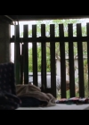 VampireDiariesWorld-BoySwallowsUniverse1x07-0638.jpg