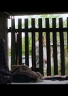 VampireDiariesWorld-BoySwallowsUniverse1x07-0640.jpg