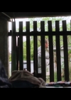 VampireDiariesWorld-BoySwallowsUniverse1x07-0642.jpg