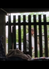 VampireDiariesWorld-BoySwallowsUniverse1x07-0643.jpg