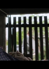 VampireDiariesWorld-BoySwallowsUniverse1x07-0645.jpg