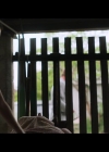 VampireDiariesWorld-BoySwallowsUniverse1x07-0646.jpg