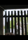 VampireDiariesWorld-BoySwallowsUniverse1x07-0652.jpg