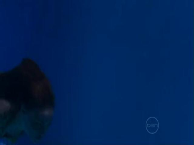 VampireDiariesWorld-dot-org_H2OJustAddWater-s01e03--0968.jpg