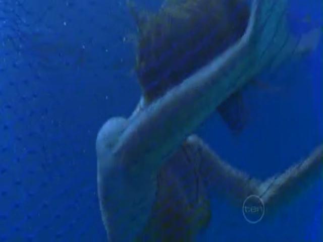VampireDiariesWorld-dot-org_H2OJustAddWater-s01e03--0981.jpg