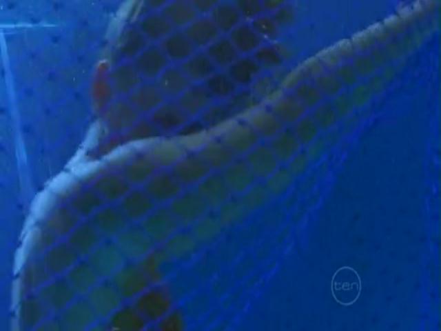VampireDiariesWorld-dot-org_H2OJustAddWater-s01e03--0982.jpg