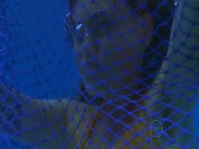 VampireDiariesWorld-dot-org_H2OJustAddWater-s01e03--0986.jpg