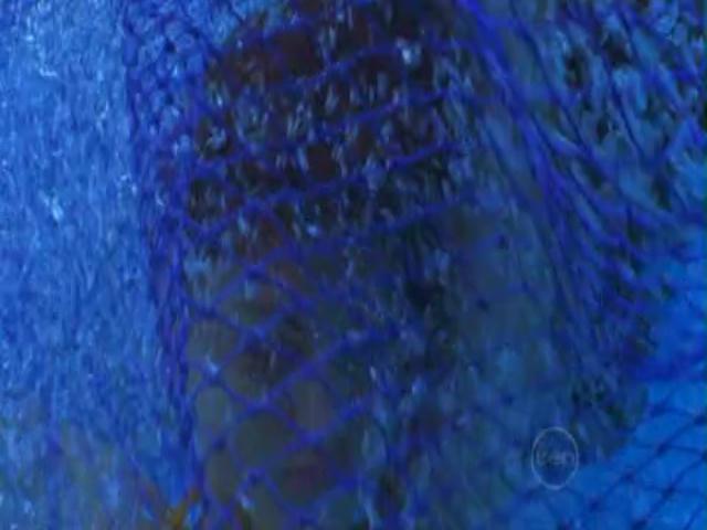 VampireDiariesWorld-dot-org_H2OJustAddWater-s01e03--0990.jpg