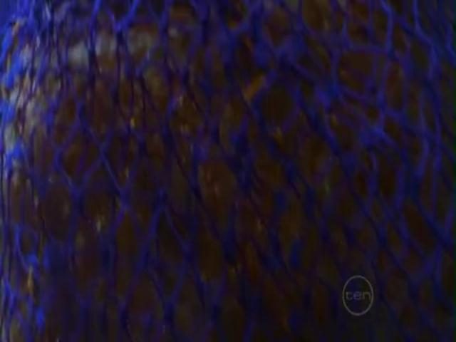 VampireDiariesWorld-dot-org_H2OJustAddWater-s01e03--1036.jpg