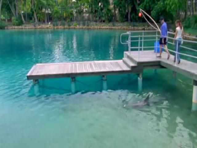 VampireDiariesWorld-dot-org_H2OJustAddWater-s01e16-0247.jpg VampireDiariesWorld-dot-org_H2OJustAddWater-s01e16-0247.jpg