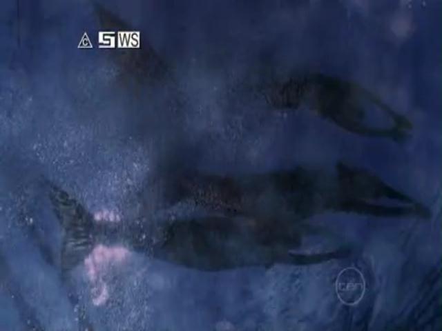 VampireDiariesWorld-dot-org_H20JustAddWater-S02e04-0003.jpg