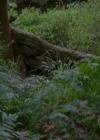 VampireDiariesWorld-dot-org_H20JustAddWater-S02e13-0448.jpg