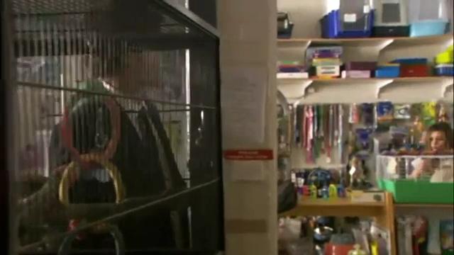 VampireDiariesWorld-dot-org_HomeAndAway-Episode5180-0100.jpg