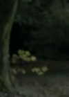 Filename=VampireDiariesWorld-dot-org_TheSecretCircle-S01E08-1812.jpg
Filesize=7KiB
Dimensions=480x272
Date added=Jan 29, 2013 VampireDiariesWorld-dot-org_TheSecretCircle-S01E08-1812.jpg