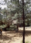 VampireDiariesWorld-dot-nl_AdvanceandRetreat_0074.jpg