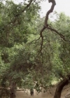 VampireDiariesWorld-dot-nl_AdvanceandRetreat_1933.jpg