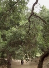 VampireDiariesWorld-dot-nl_AdvanceandRetreat_1934.jpg