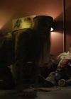 Filename=VampireDiariesWorld-dot-nl_Highttown2x05-2610.jpg
Filesize=135KiB
Dimensions=720x404
Date added=Jan 15, 2023 VampireDiariesWorld-dot-nl_Highttown2x05-2610.jpg