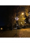 040-3.jpg