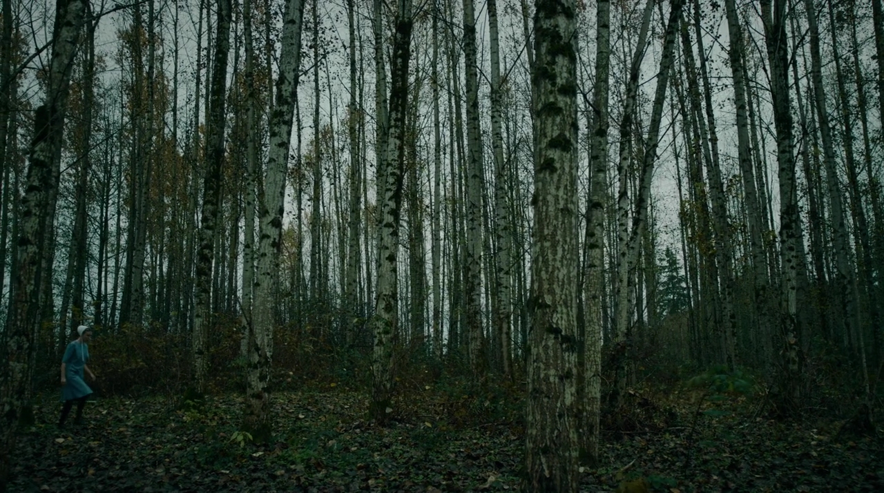 VampireDiariesWorld-dot-nll_AmishAbduction0542.jpg