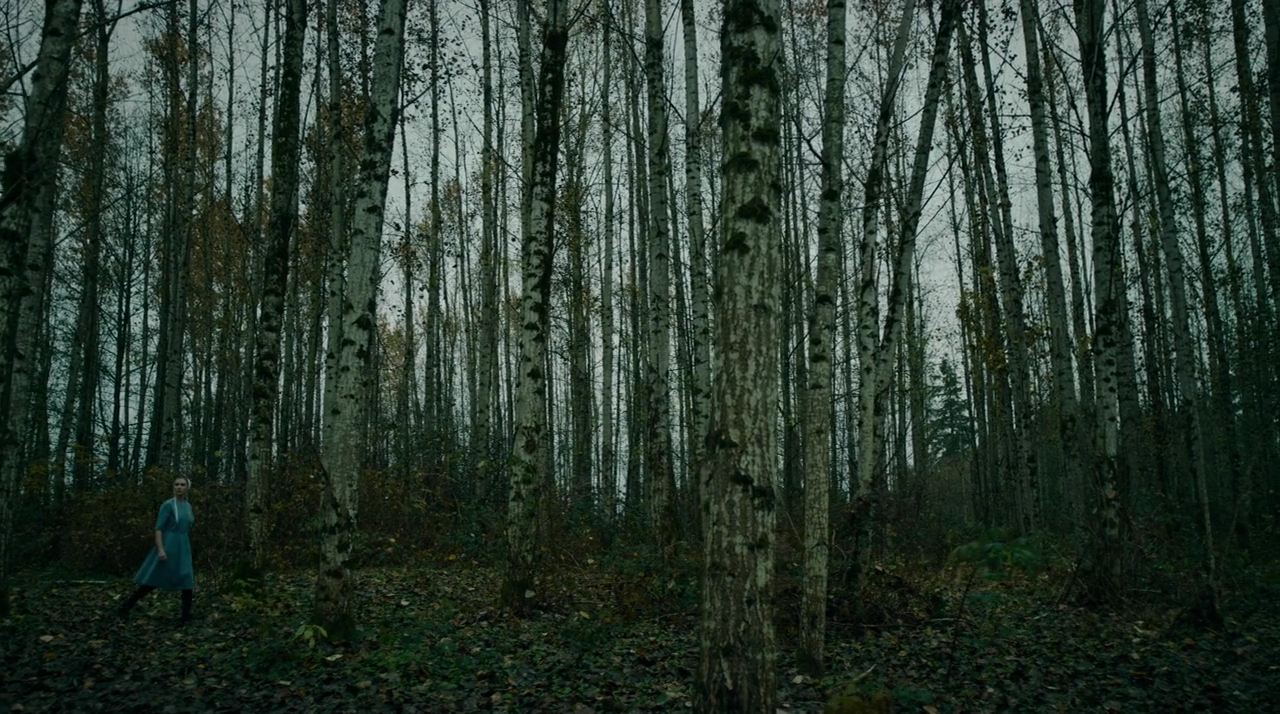 VampireDiariesWorld-dot-nll_AmishAbduction0543.jpg