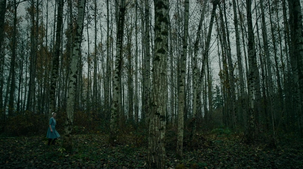 VampireDiariesWorld-dot-nll_AmishAbduction0544.jpg