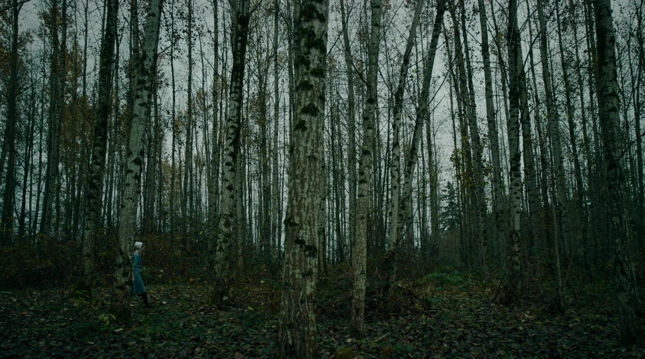 VampireDiariesWorld-dot-nll_AmishAbduction0545.jpg VampireDiariesWorld-dot-nll_AmishAbduction0545.jpg