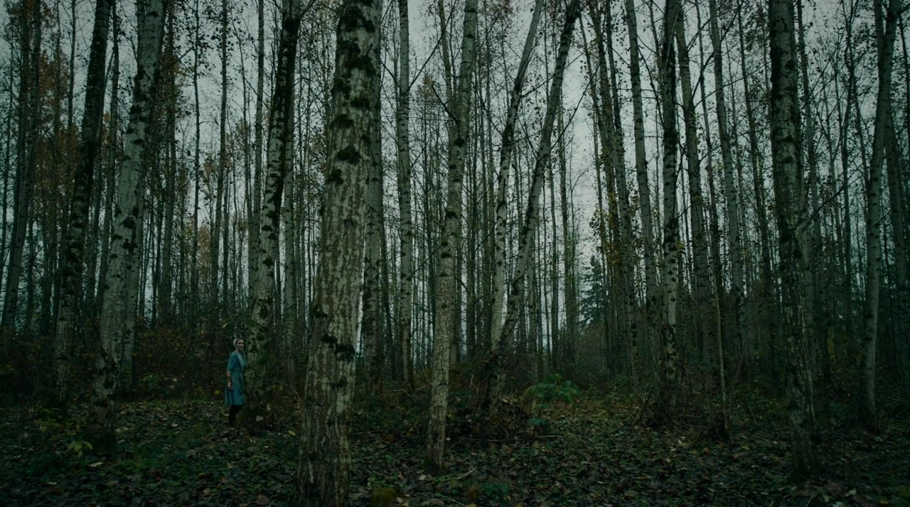 VampireDiariesWorld-dot-nll_AmishAbduction0547.jpg