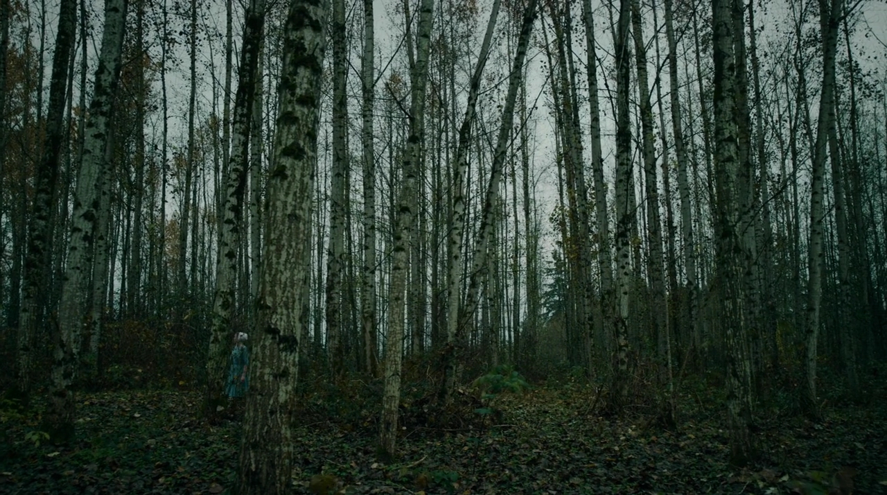 VampireDiariesWorld-dot-nll_AmishAbduction0548.jpg