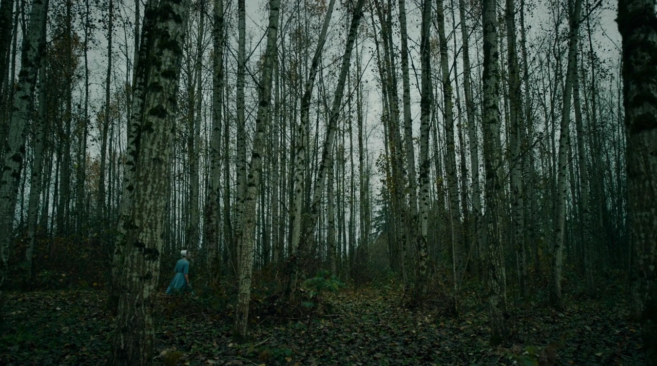 VampireDiariesWorld-dot-nll_AmishAbduction0550.jpg